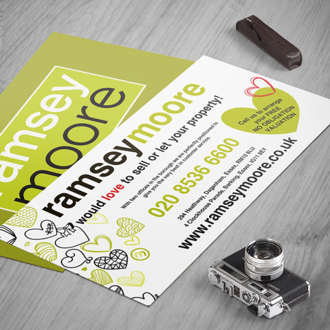 DL 250gsm Flyers